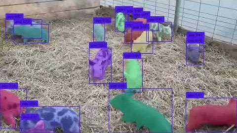Livestock Video Segmentation Services #segmentation #semanticsegmentation #dataannotation