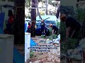 Lošinj nakon pijavice pogodio meteotsunami, poplavljena riva i kafići