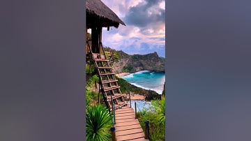 𝚁𝚞𝚖𝚊𝚑 𝙿𝚘𝚑𝚘𝚗 𝚃𝚛𝚎𝚎 𝚑𝚘𝚞𝚜𝚎, 𝙽𝚞𝚜𝚊 𝙿𝚎𝚗𝚒𝚍𝚊 📌#shorts