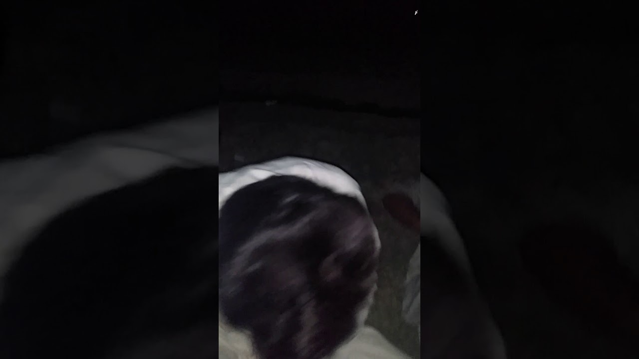 Hafiz abad kohat shani gul