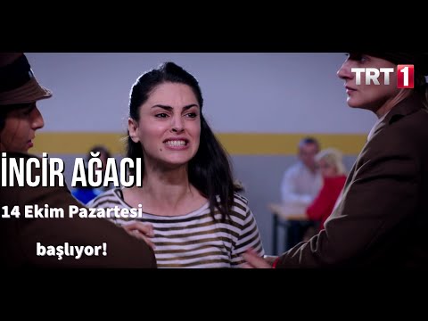 İncir Ağacı 14 Ekim Pazartesi'den itibaren hafta içi her gün 15.00'te TRT1'de.