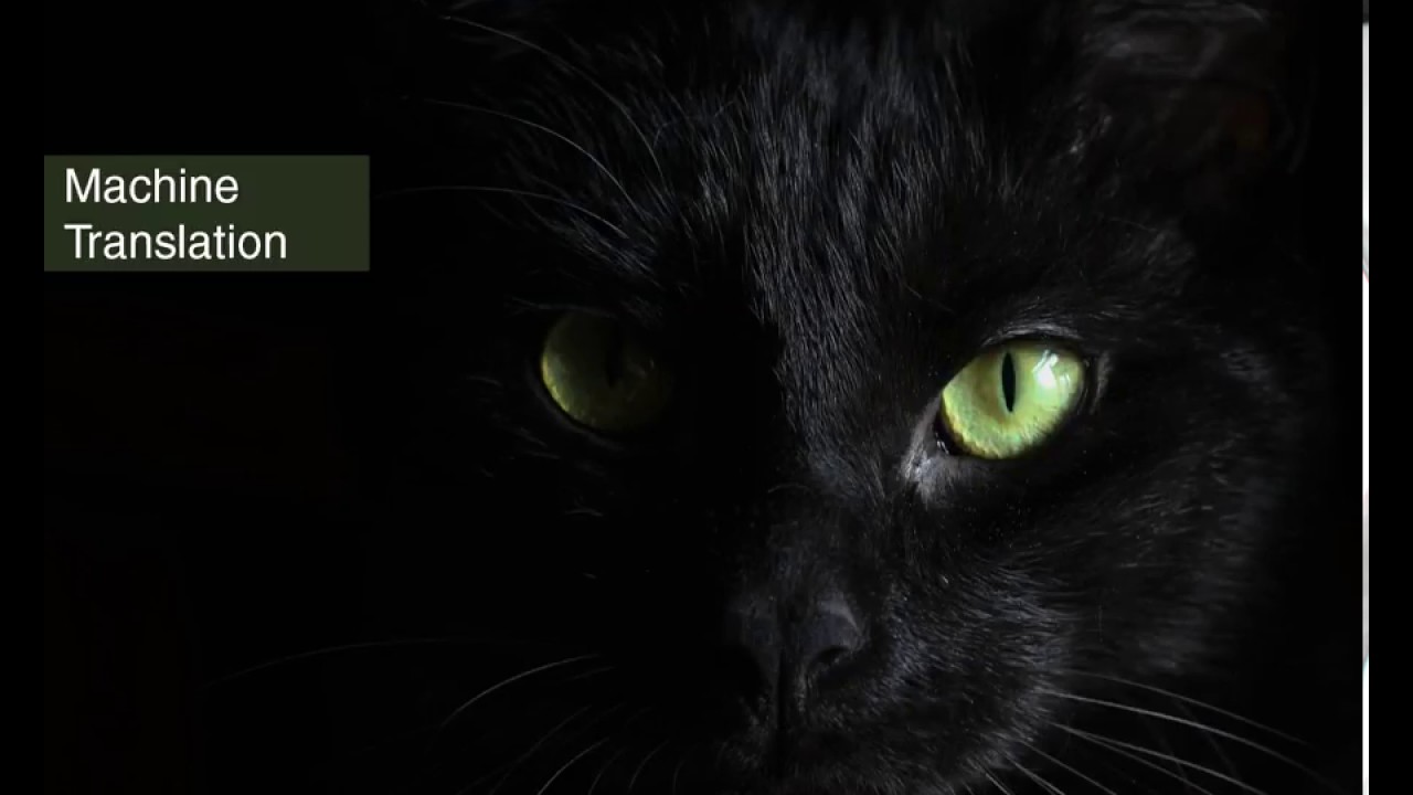 Language Intelligence: MT Best Practices