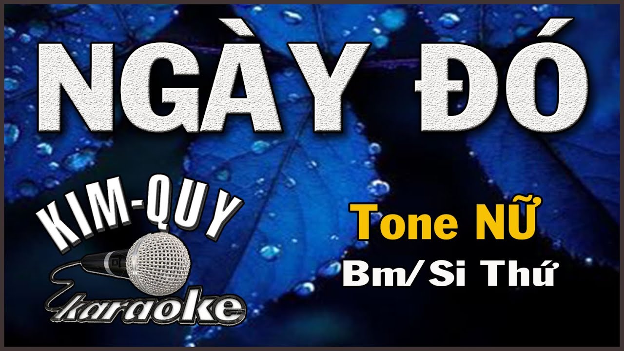 NGÀY ĐÓ - KARAOKE - Tone NỮ ( Bm/Si Thứ )