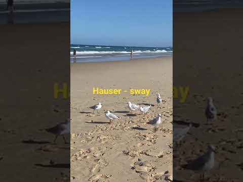 Hauser - sway