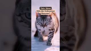 Bu Bölümhadis İnkârcılarına Gelsin