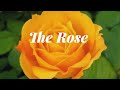 Bette Midler 베티 미들러 The Rose 가사 한글해석 듣기 Bette Midler 베티 미들러 The Rose 가사 한글해석 듣기