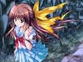 Sharin no Kuni - hikari no saki ni