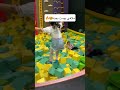 العب واستمتع بملاهي بوست كبار وصغار Shorts العب واستمتع بملاهي بوست كبار وصغار Shorts