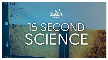 15 Second Science : How does sonar actually work?