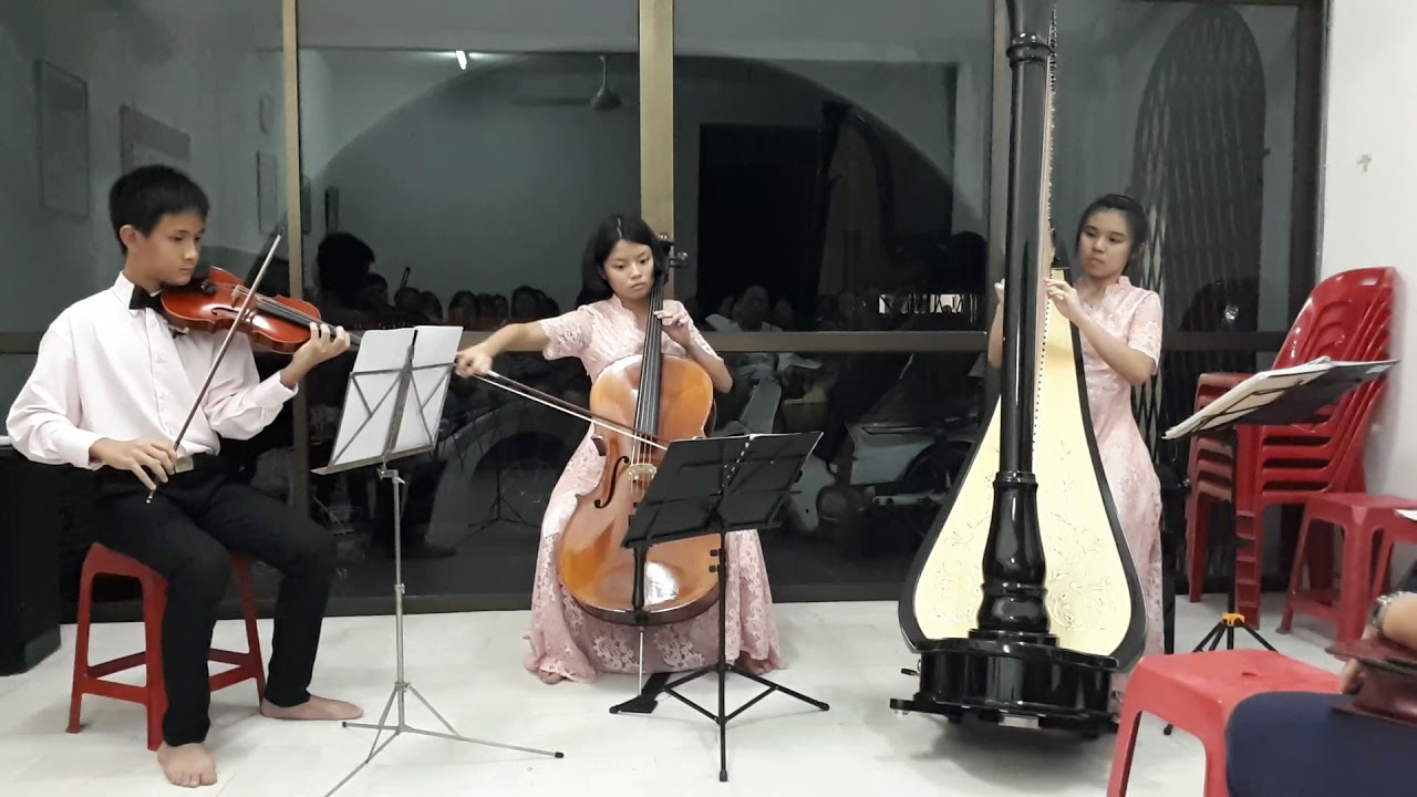 Harp, cello and violin trio