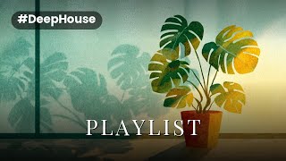 Misted Orangery Groove 🌴 Daytime Deep House Mix screenshot 5
