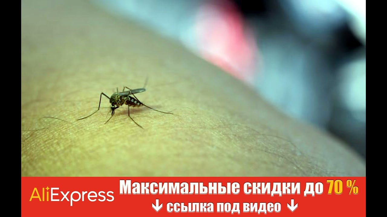 Почему одних людей комары кусают, а других - нет: важное объяснение.