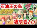 この島に勝てる島あんの？【あつ森】
