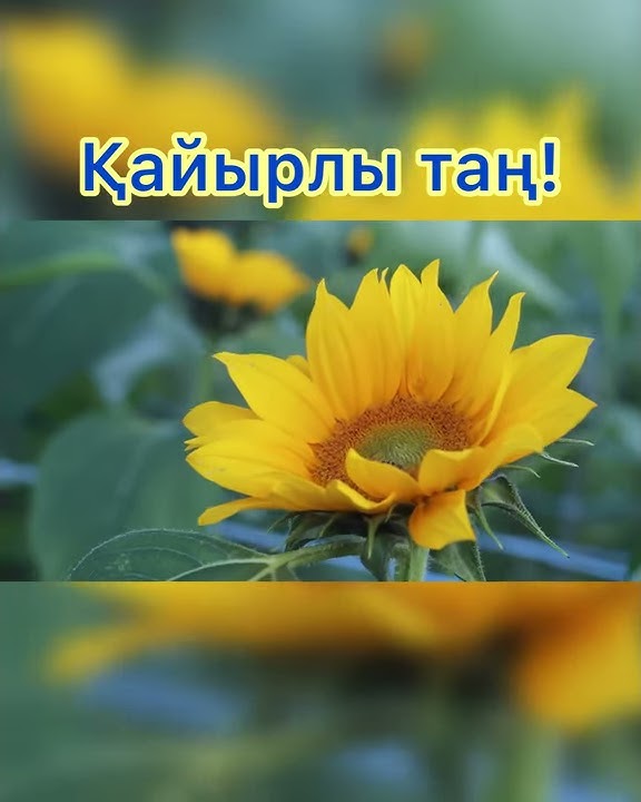 Мини көйлектердегі сексуалды әйелдер