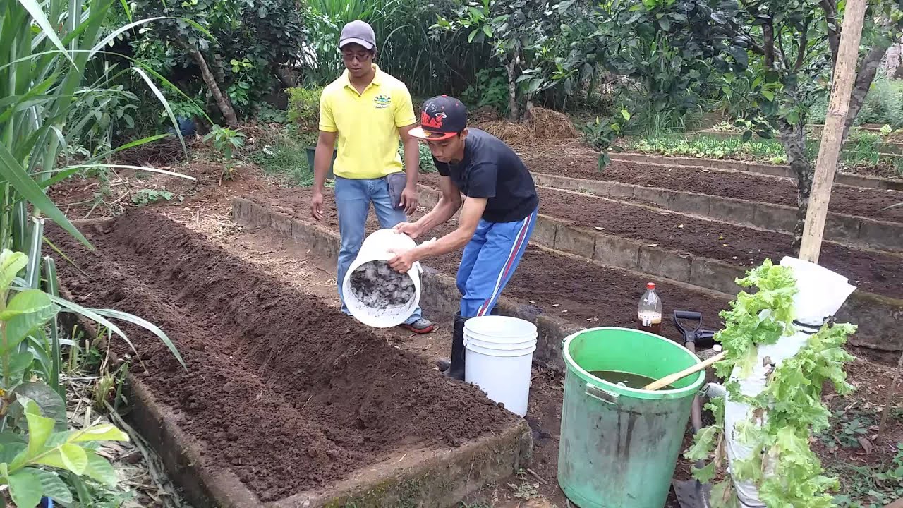 Application Of Kitchen Waste Compost Upon Land Preparation As