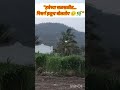“कोकीळचा आवाज… आणि सुंदर संध्याकाळ 🐦🌇 #shorts”