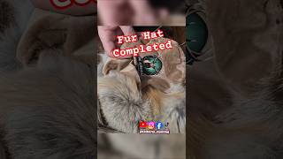Completion of my Fox Fur Hat #pkalbertahunting #alberta #trapping #fur  #furhat