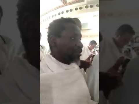 الشيخ محمد الماحي سيس