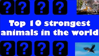 top 10 strongest animals in the world