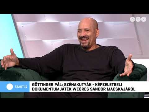 Kálid Artúr az ATV Start Plusz c. műsorában a Szénakutyákról