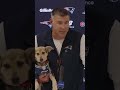 Coach brought a puppy to the podium 🥰😭🐶 #patriots #nfl #dogs #shorts