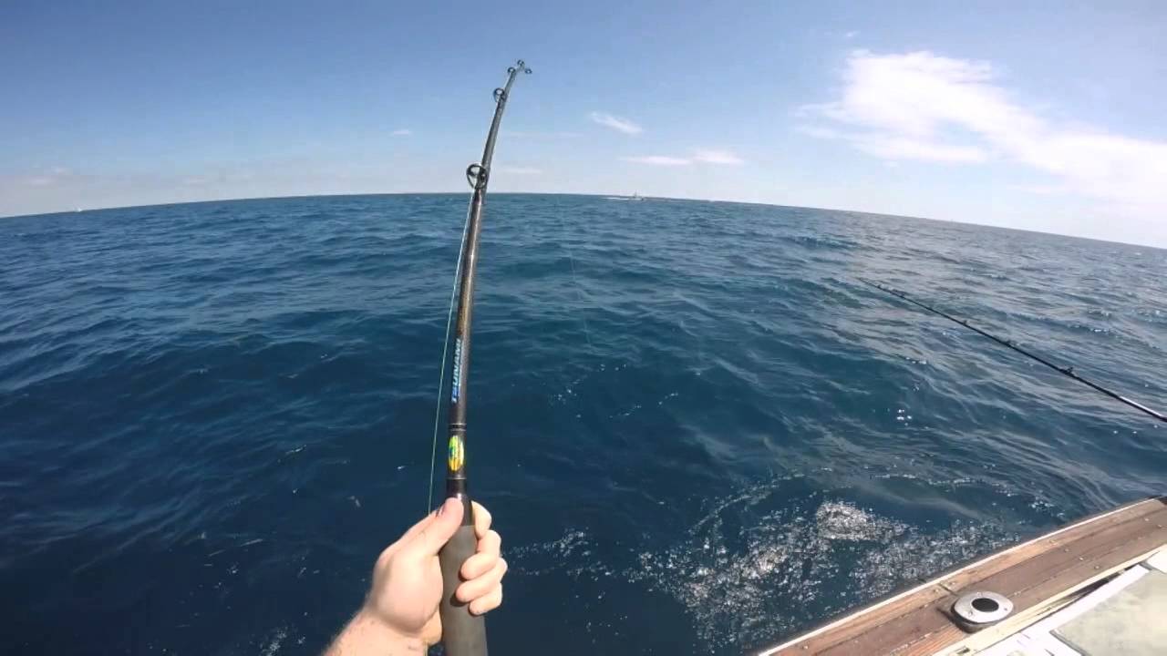 2015 Fishing Florida Keys YouTube