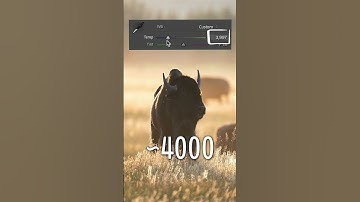 This Trick Helps You Get PERFECT White Balance in Your Photos!