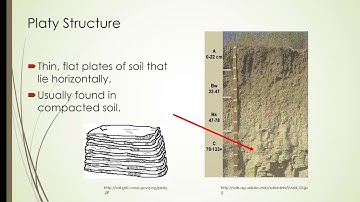Soil Porosity and Density
