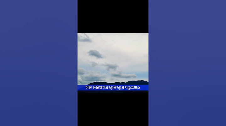 용이승천하는걸까??