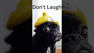 Funny Dog's Reaction Day 65 😂🤣| @Satisfying_Funny_Videos | #funny #dog #dogs #petcompilation #pets