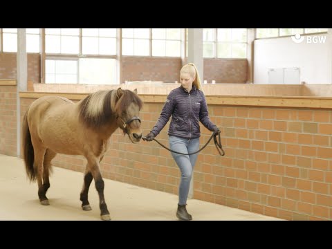Video: Die Vorteile Der Pferdepflege - Täglicher Tierarzt
