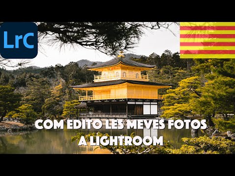 Vídeo: Com afegir pinzells a Lightroom?