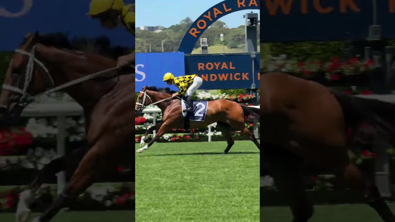 Exhibition Gallops BTS: Autumn Glow, Aeliana, Lazzura