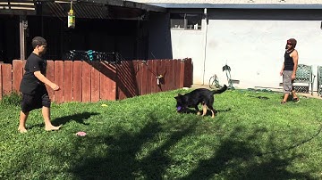 Capture the Flag back yard style - Bloopers