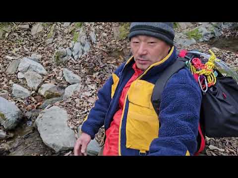 태백 여사와 굴피집 어르신 월동용 땔감을 해드릴 <strong>산행</strong> 함께해준 중년의 여친  ᆢ