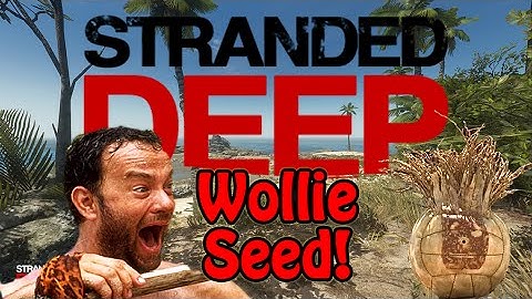 outdated wollie at start video