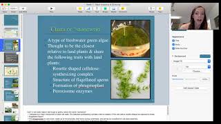 Plant Diversity Part 1