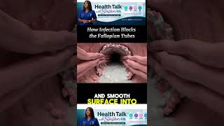 How Infection Block the fallopian tubes #pregnancy