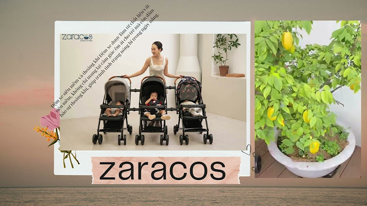 Đánh giá xe đẩy zaracos oral 2706 năm 2024