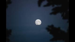 relaxed scene (slowed)