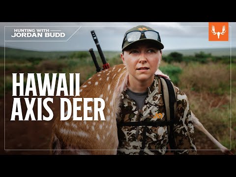 Hawaiian Axis Deer Hunting with Jordan Budd