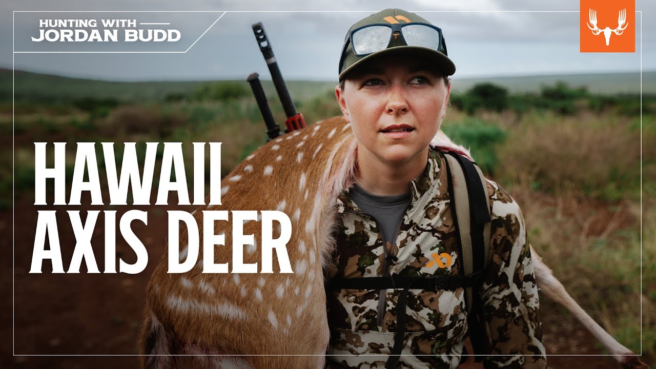 Hawaiian Axis Deer Hunting with Jordan Budd YouTube