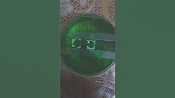 INTERACCIONES ENTRE OBJETOS. #ciencia  #science