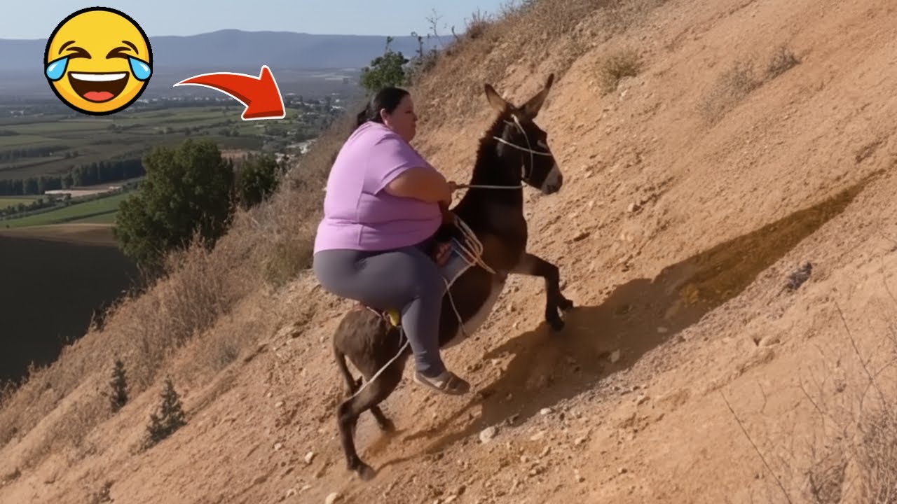 Funny Pranks Caught on Camera 😂 Best Pranks of the Week - YouTube