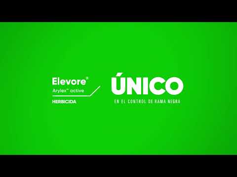Elevore: chau rama negra.