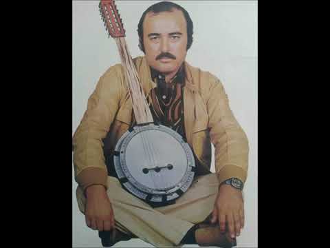 ALİ SEVEN DELİYE DÖNDÜM