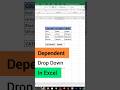 Dependent Drop Down in Excel #excel #exceltech #shorts #youtubeshorts