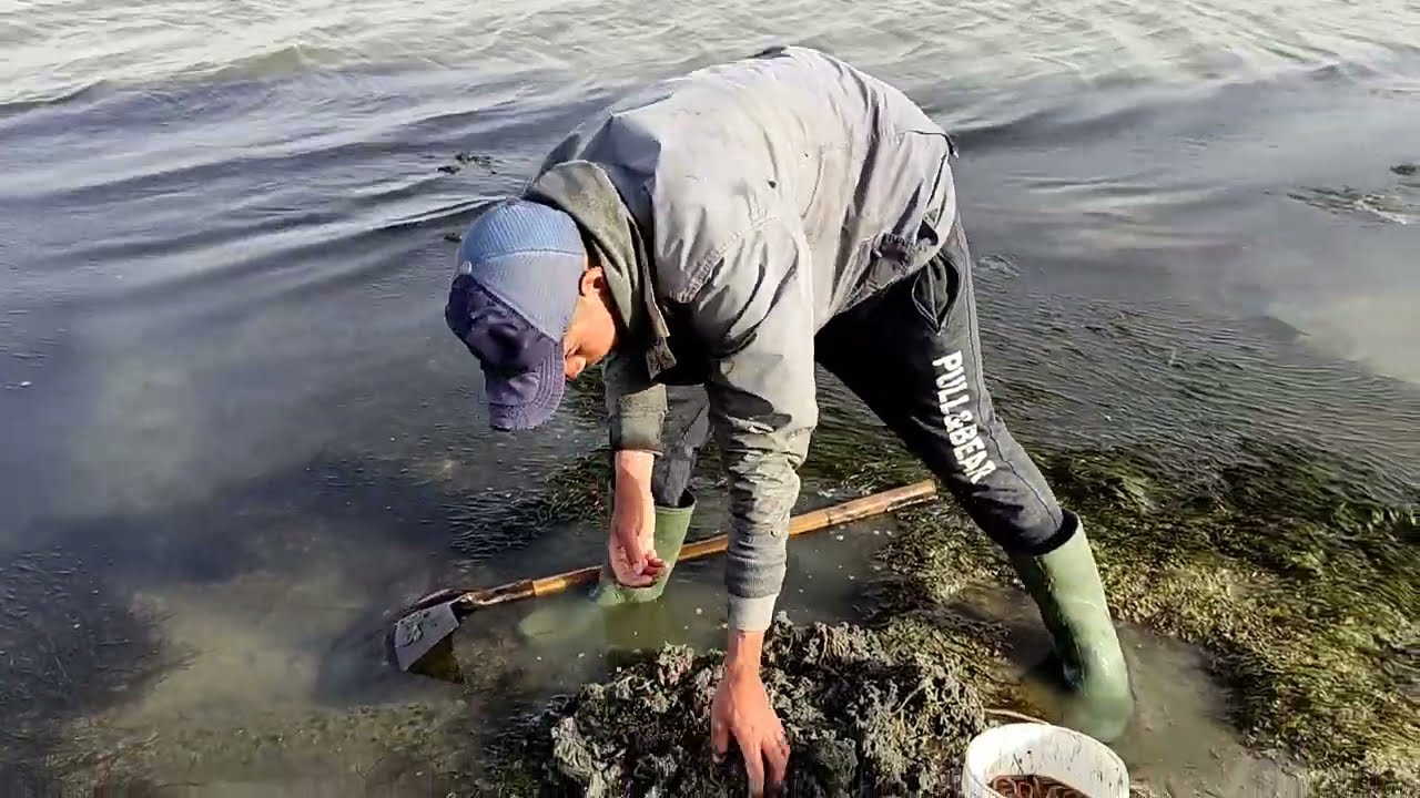 كايفية استخراج (طعم بوخو 🪱او دوداا)من مدينه الداخلة واد داهب