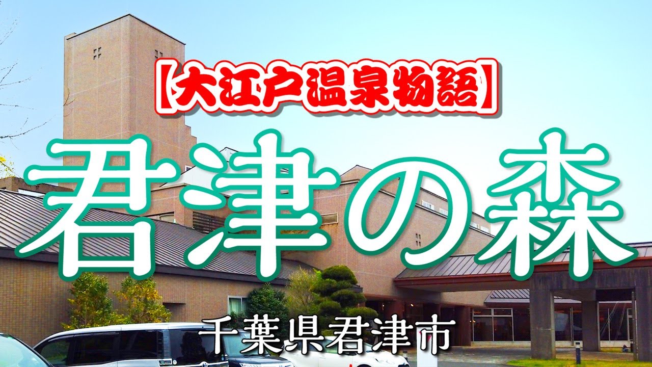 千葉 県 君津 の 森