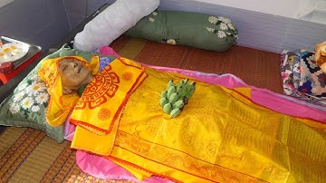 Lễ tang ông: Nguyễn Văn Hội, Ấp Sở Tại, Xã Thạnh Phú, Cái Nước, Cà Mau